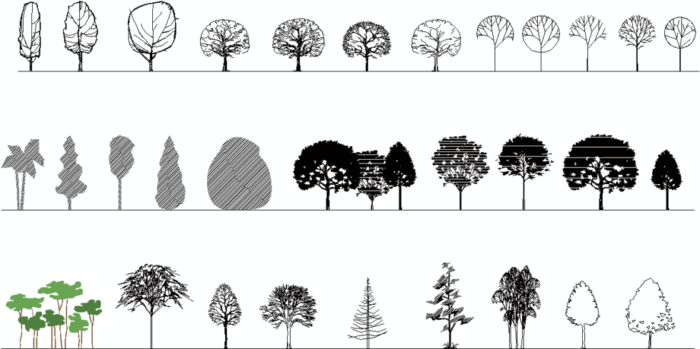 CAD blocks depicting various styles and details of trees and shrubs.