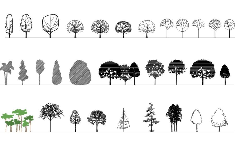 CAD blocks depicting various styles and details of trees and shrubs.