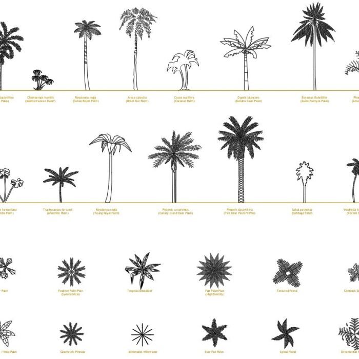 Collection of 27 2D palm tree CAD blocks featuring 15 elevations and 12 plan views with botanical names.